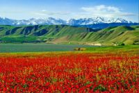新疆塔县有什么旅游景点值得去?